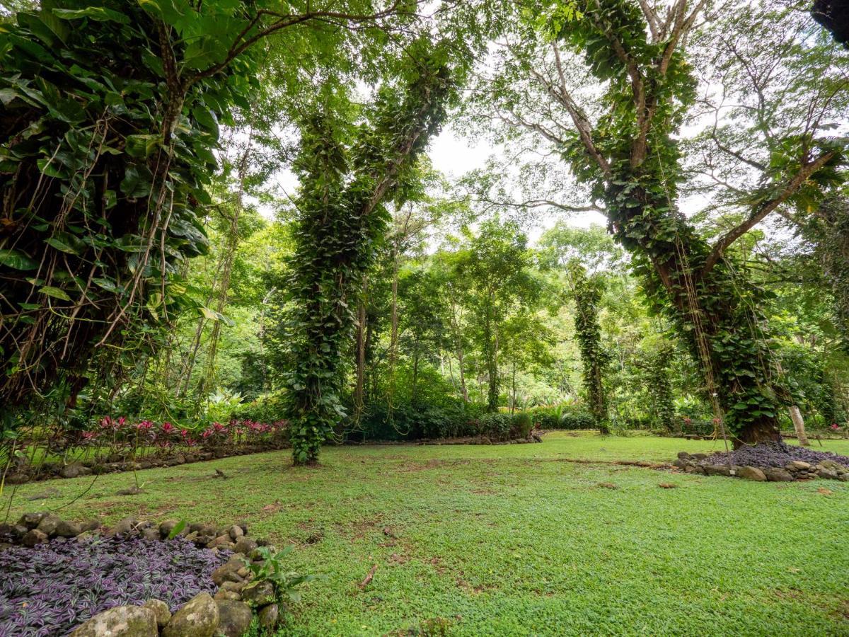 Villa Lapas Jungle Village ตาร์กอเลส ภายนอก รูปภาพ