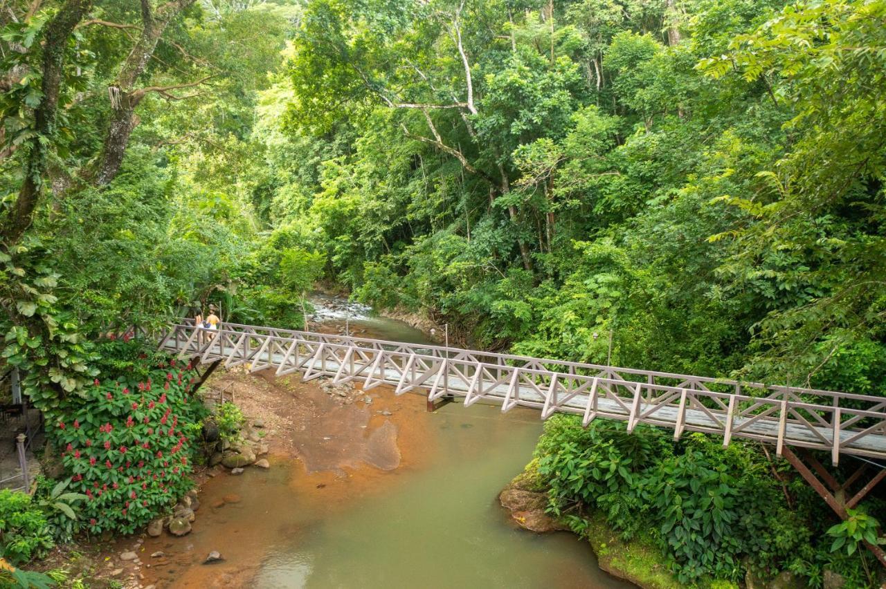 Villa Lapas Jungle Village ตาร์กอเลส ภายนอก รูปภาพ