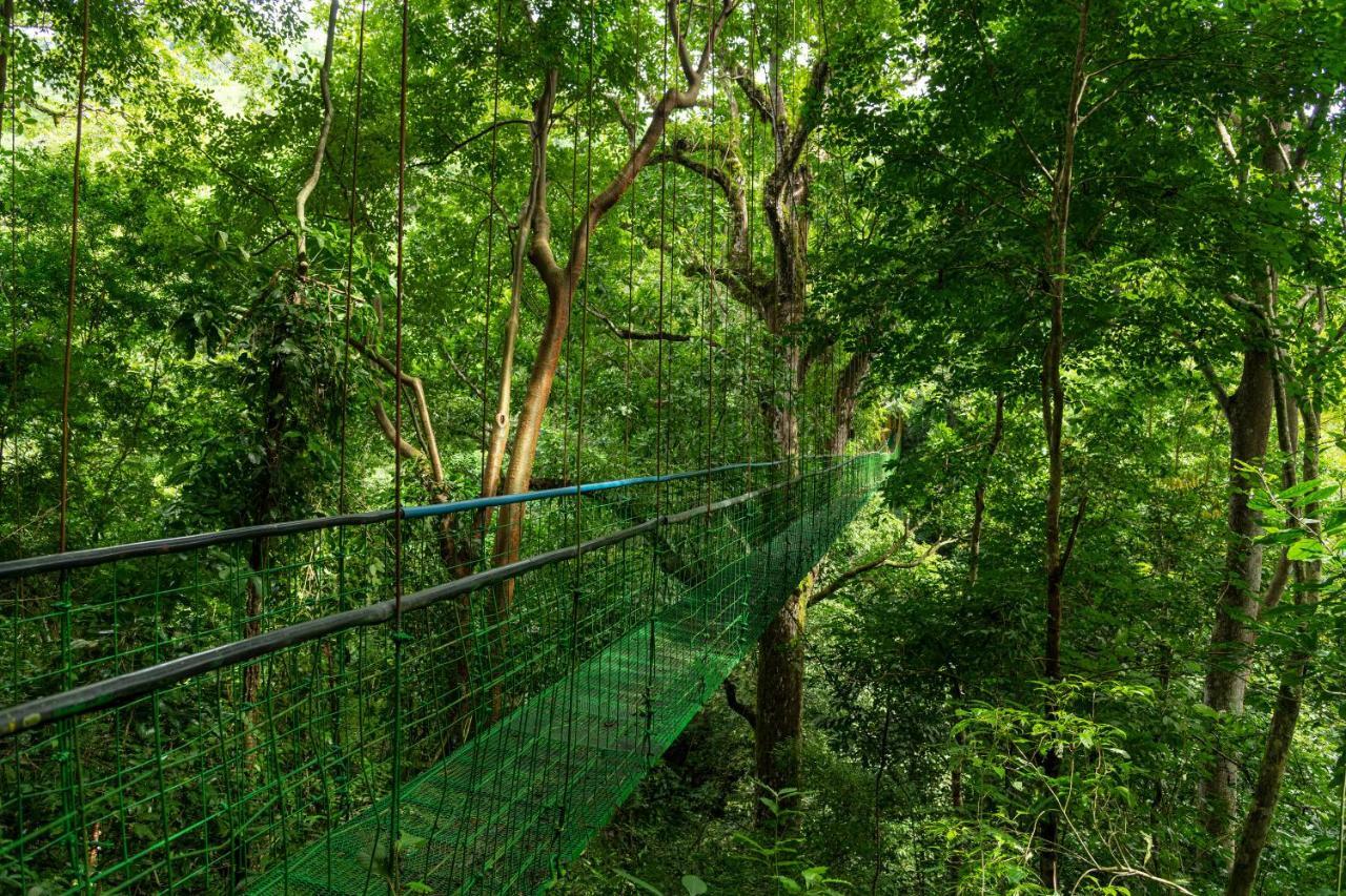 Villa Lapas Jungle Village ตาร์กอเลส ภายนอก รูปภาพ