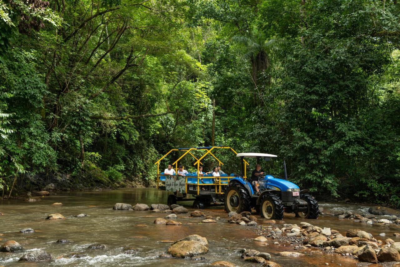 Villa Lapas Jungle Village ตาร์กอเลส ภายนอก รูปภาพ